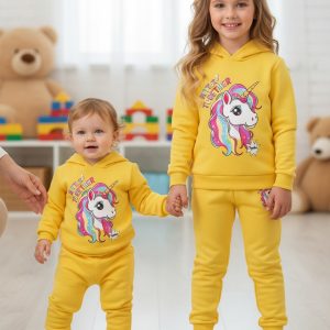 Hoodie Set winter hoodie set-Trouser + Hoodie (combo set)